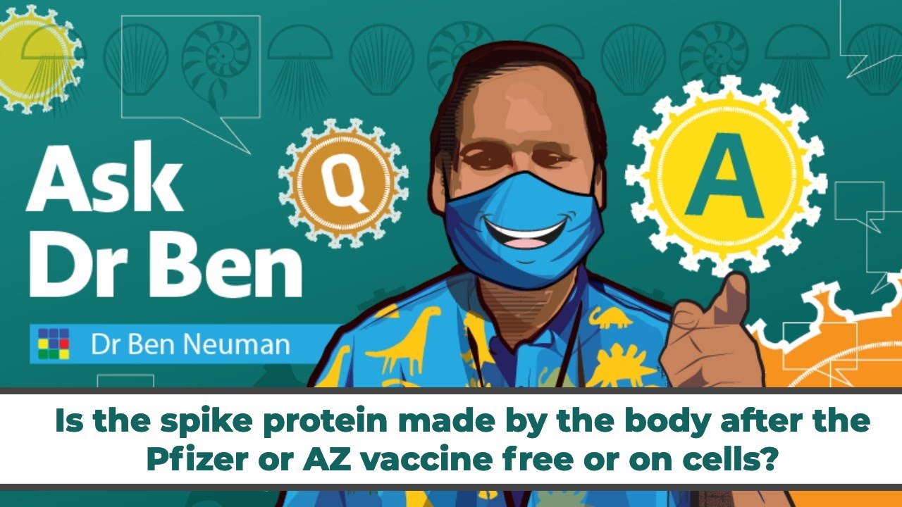 Is the spike protein made by the body after the Pfizer or AZ vaccine free or on cells? #AskDrBen