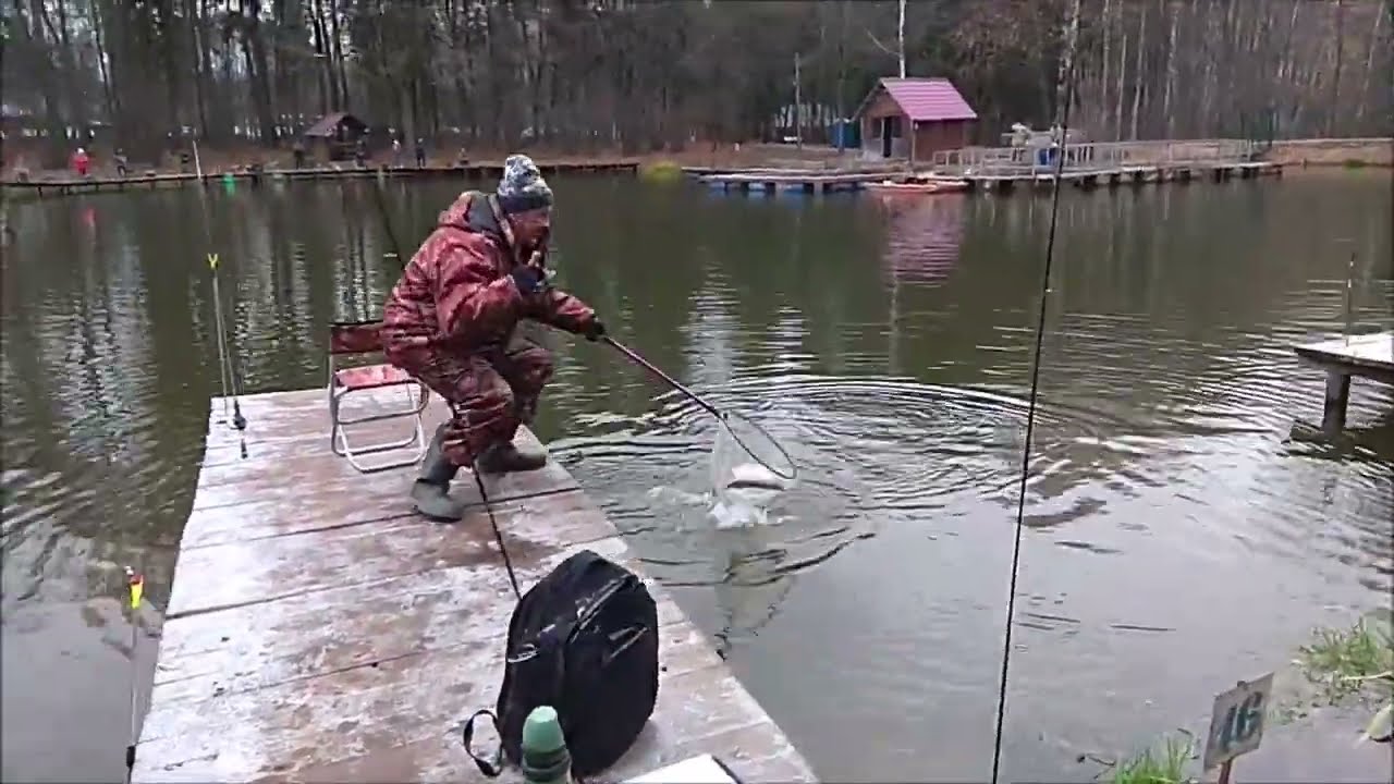 Форель ловится в придонном слое. Клёвое место, Лосиный остров, верхний водоём.