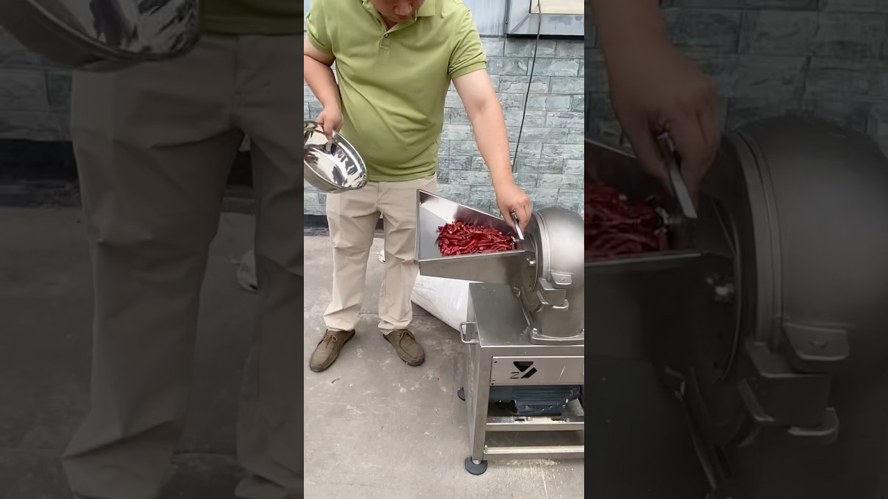 Chili powder grinder with 1 phase electric motor. #backbone #grinder #flourmill