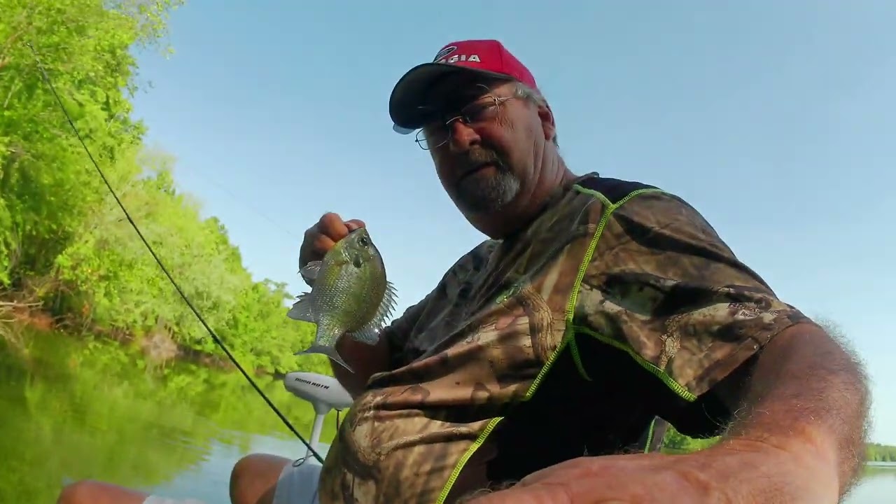 Bream Fishing the 