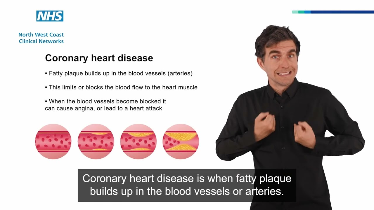 Coronary heart disease and how the heart works