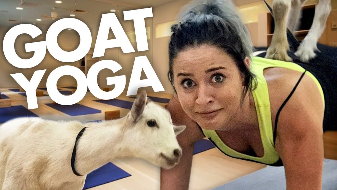 GOAT YOGA IS REAL?! (Get Jacked)