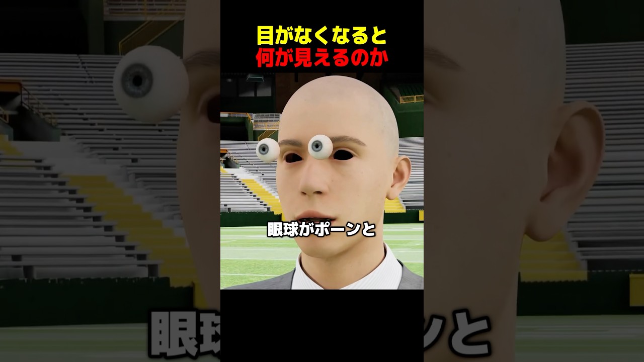 目が見えなくなるとどうなるのか？
