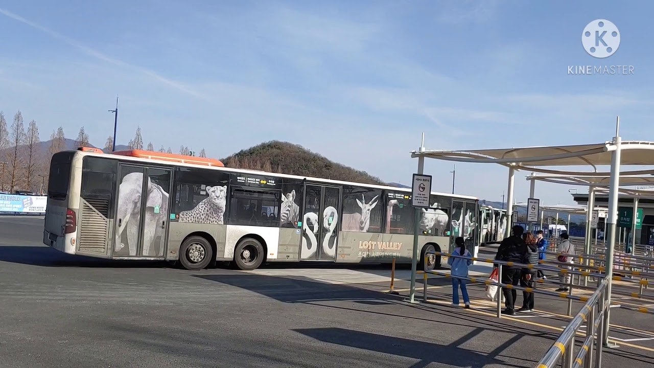 에버랜드셔틀버스