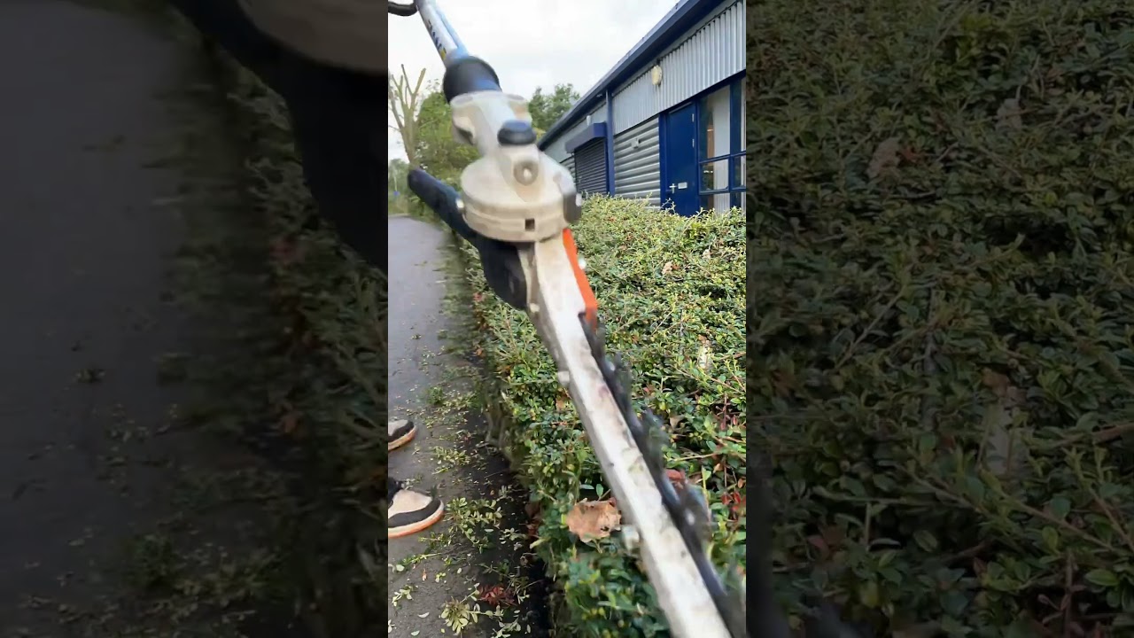 Hedge trimming ✂️ #hedgecutting #hedgetrimming #gardening