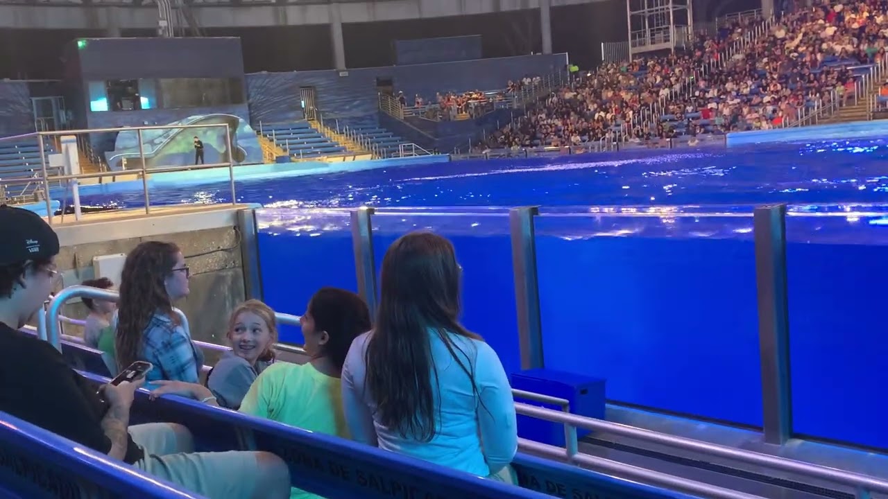 Orca encounter seaworld San Antonio 10/5/2024