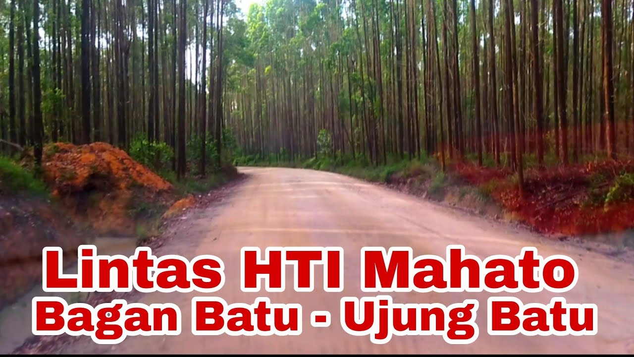 Jalan Lintas HTI Mahato Terkini Bagan batu Ujung batu