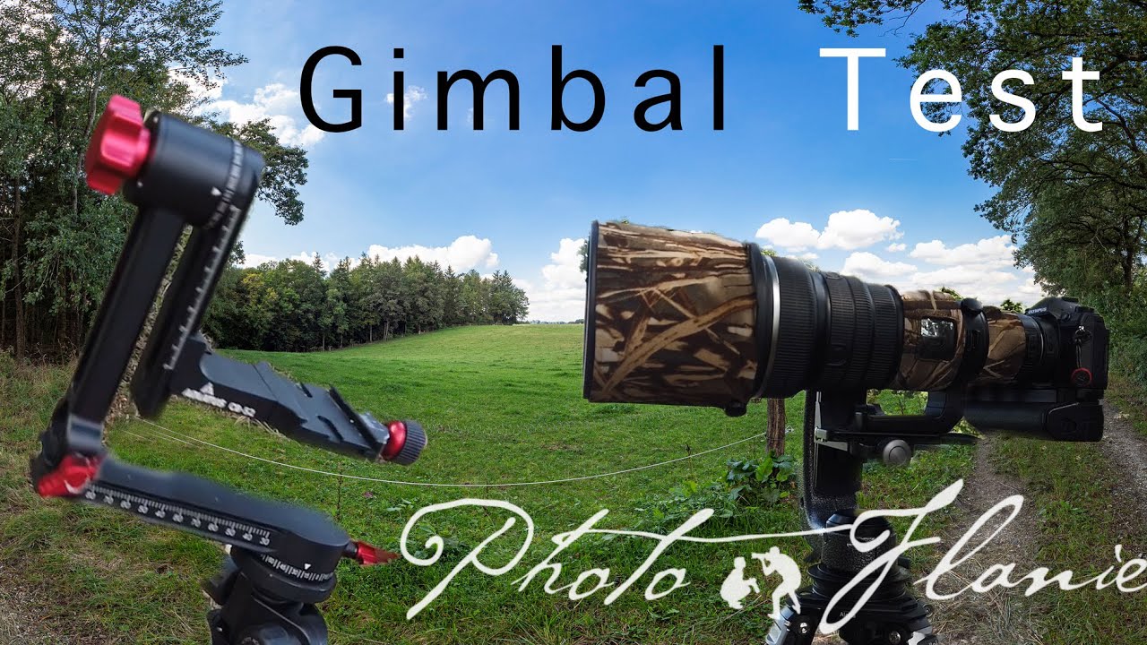 Vergleich von Gimbal-Stativköpfen + PanoHack