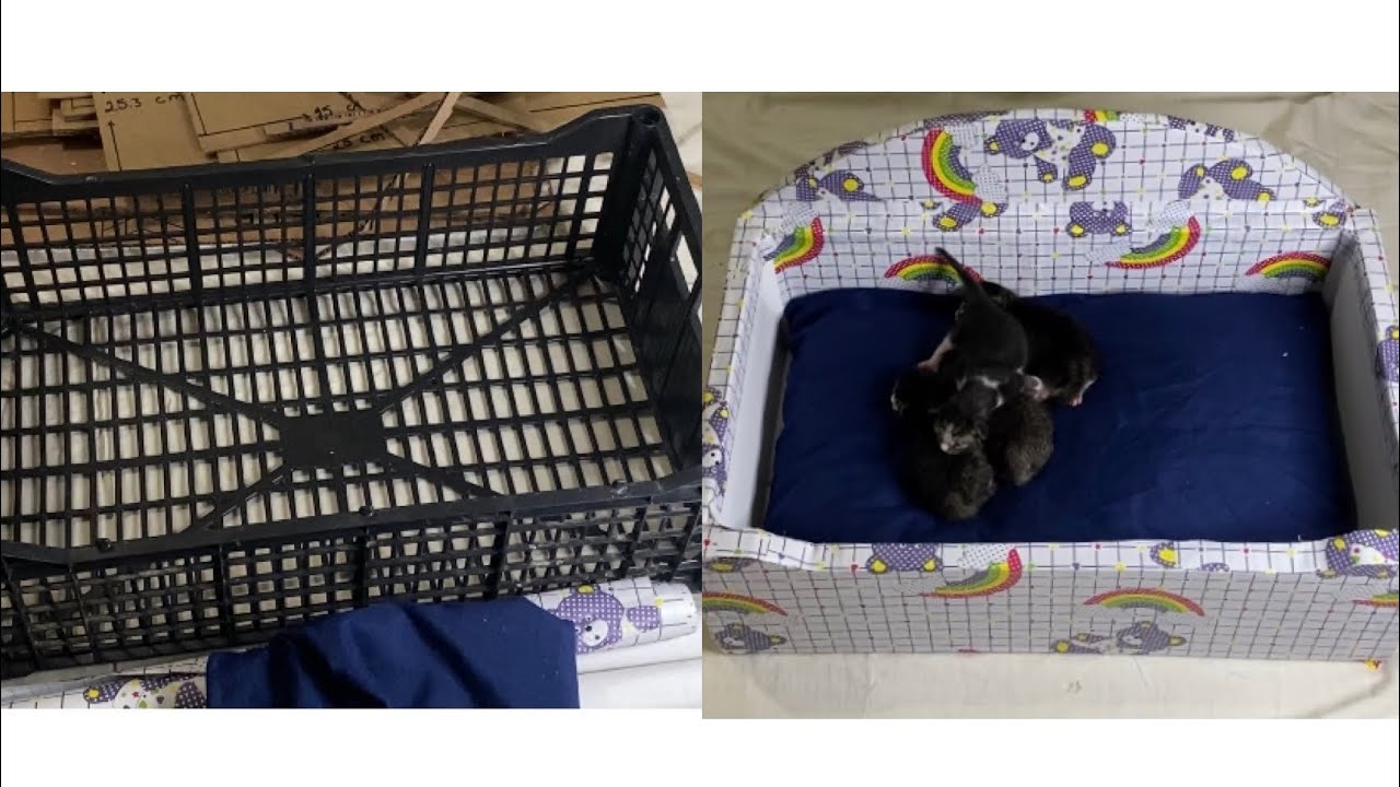 De reja de frutas a camita para mascotas 🥰🐈🐈‍⬛🐕‍🦺/reciclando ando 😉