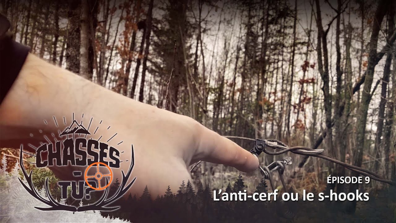 Chasses-tu?: Anti-cerf