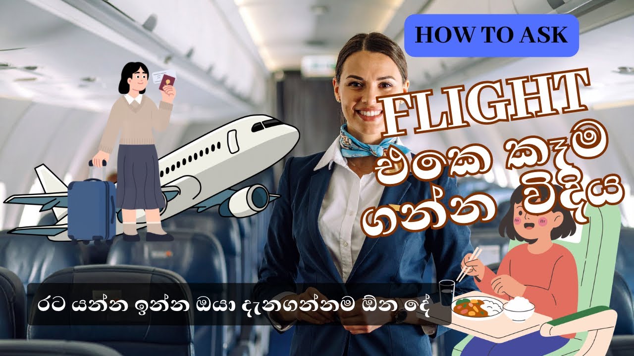 කොහොමද flight එකක කෑම ඉල්ලගන්නේ ✈️Flight Food Guide 