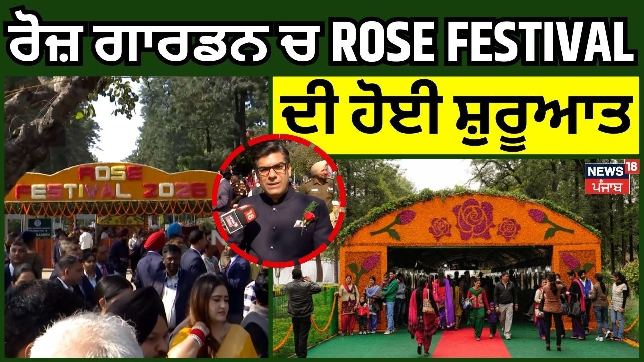Chandigarh News| ROSE FESTIVAL ਦੀ ਸ਼ੁਰੂਆਤ, 'ਲੋਕਲ ਆਰਟਿਸਟਾਂ ਨੂੰ ਦਿੱਤੀ ਪਹਿਲ' | Rose Garden | N18V