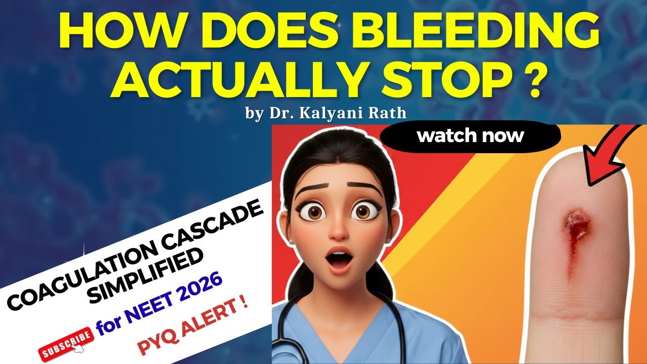 How Bleeding Actually Stops? 🩸 Coagulation Mechanism Simplified