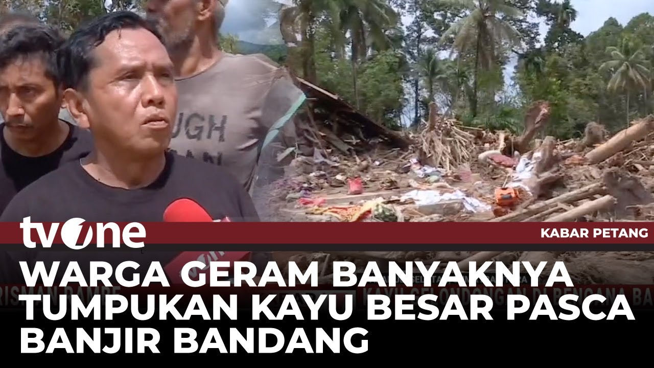 Gelondongan Kayu Besar Menumpuk di Lokasi Bencana, Ada Penebangan Besar-besaran? | Kabar Petang