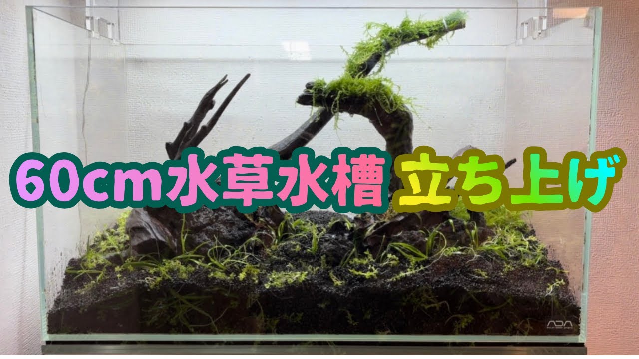【60cm水草水槽立ち上げ】YouTubeで見た動画を参考にミスト式管理で60cm水槽を立ち上げてみた(立ち上げから植栽編)