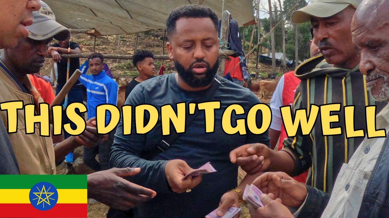 FOREIGNER tries to buy SHEEP In LIVESTOCK MARKET in Ethiopia 2023