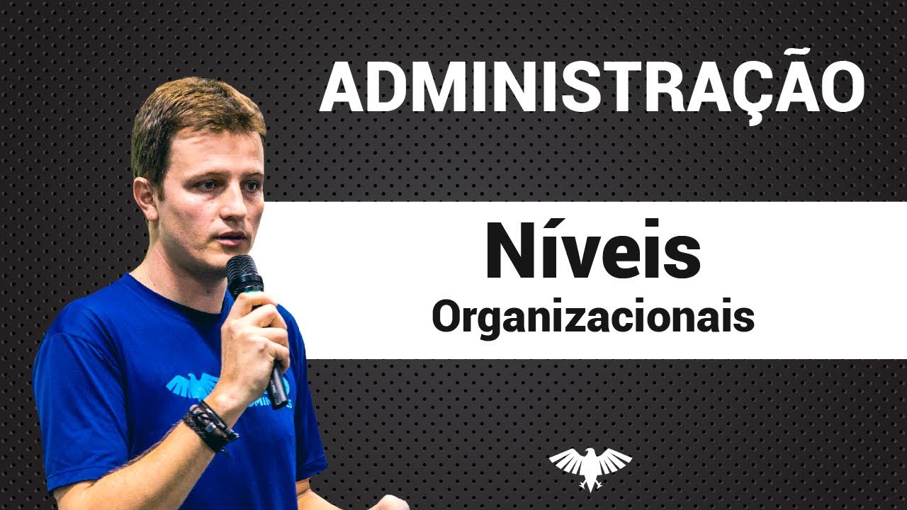 Níveis Organizacionais | Administração