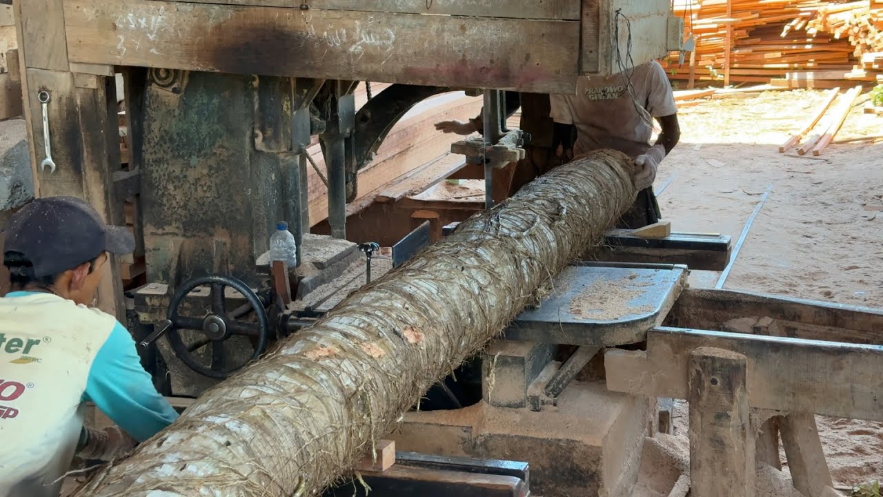 Historic Coconut Wood Cutting with Sawing Machine
