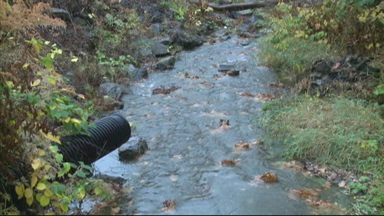 Gowanda readies for potential flooding