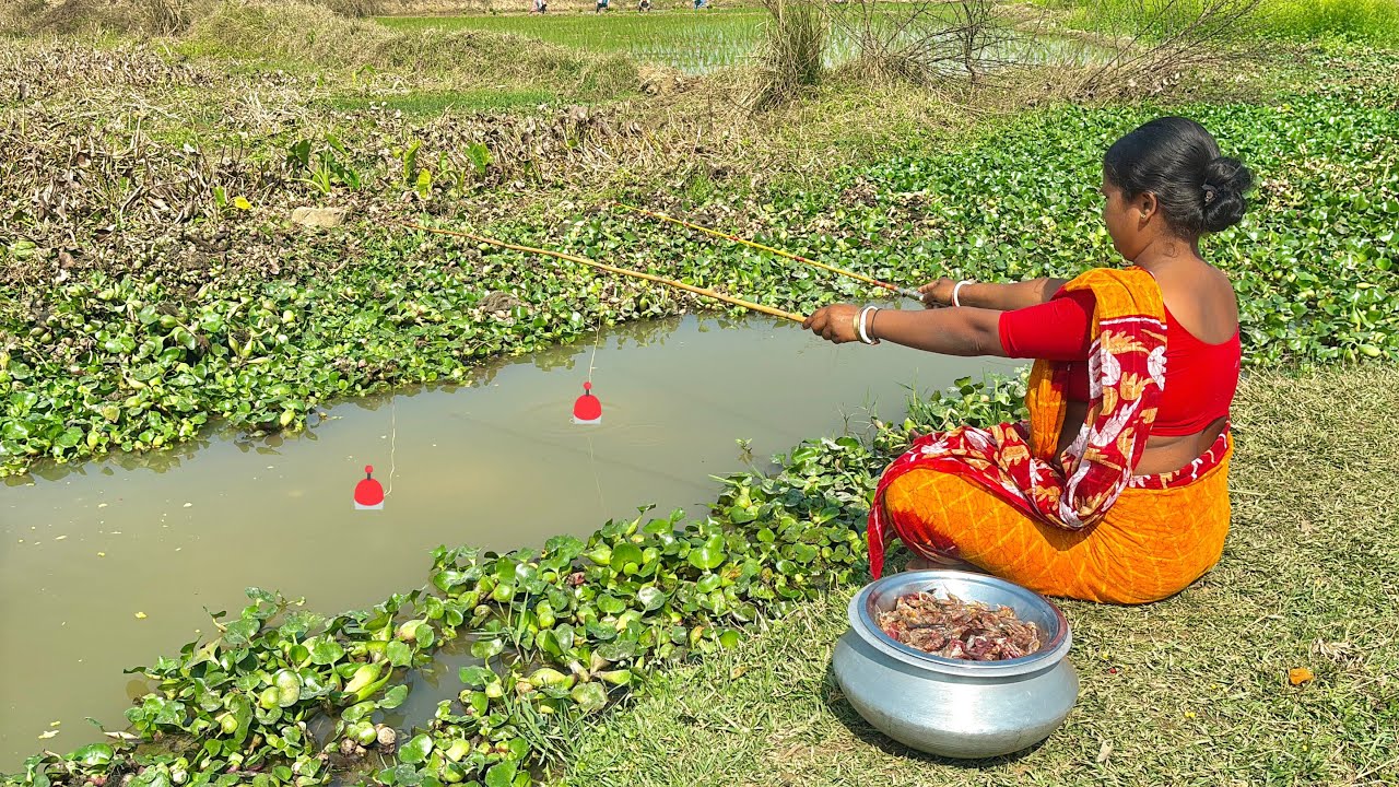Fishing video || Beautiful lady is fishing in the canal and small 🍤 fish bait￼ using fishing rods 