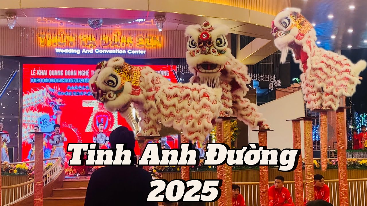 Tinh Anh Đường Múa Lân Lên Mai Hoa Thung Cực Hay Lễ Khai Quang Điểm Nhãn Lân Sư Rồng Lần Thứ 71-2025