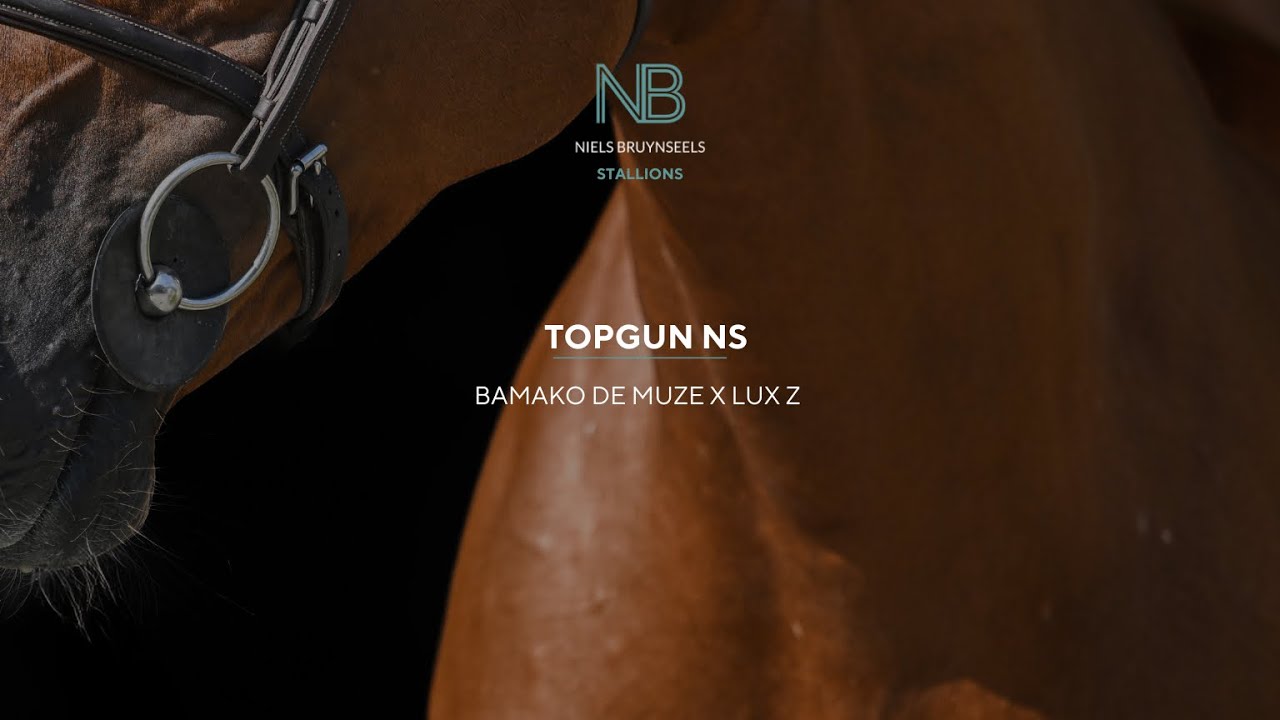 Topgun NS