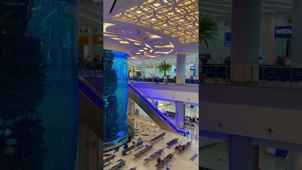 Jeddah airport aquarium #shortvideo #airport #aquarium #jeddahairport #shorts #trending