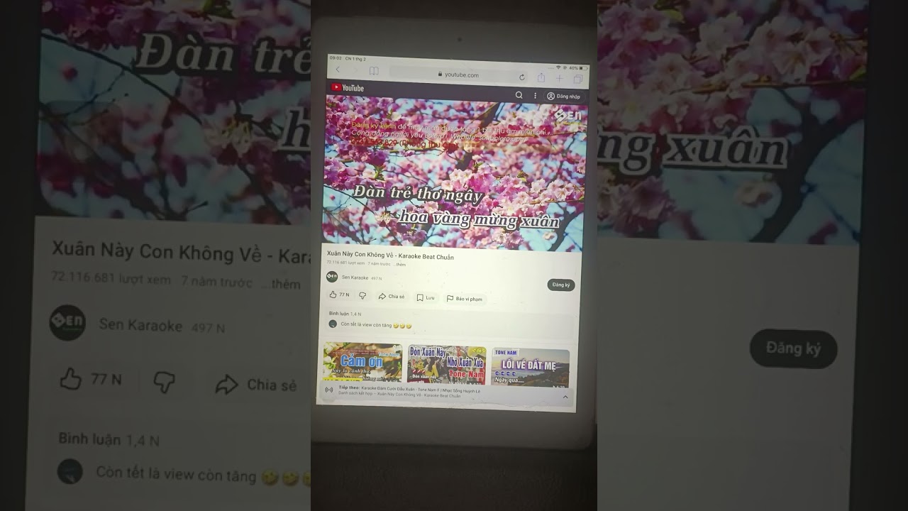 Xuân này con không về 