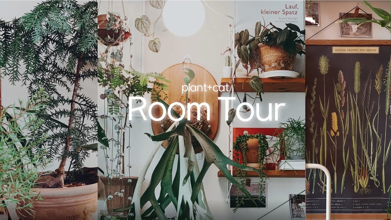 Room Tour ㅣ 식물등소개, 와! 감성터지는 포스터, 식물들의 그룹핑, 레이어드라고 부르기로