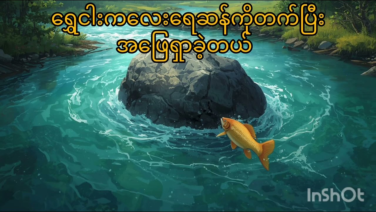 မိမိအိမ်ဖြစ်တဲ့မြစ်ကြီးအပြင် မိမိသူငယ်ချင်း​တွေကို ကယ်တင်ခဲ့တဲ့ ရွှေငါးကလေးအကြောင်း