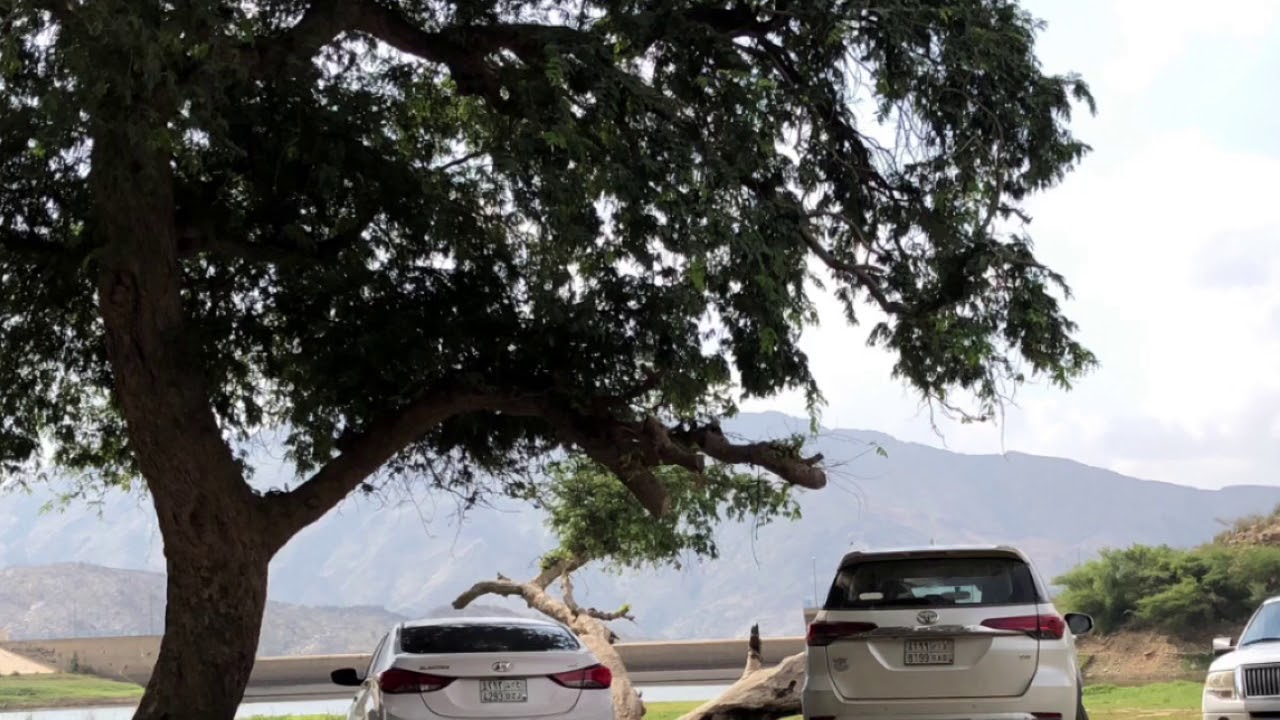 رحلة معلمي مدرسة زيد بن حارثة الإبتدائيه بالعجمه