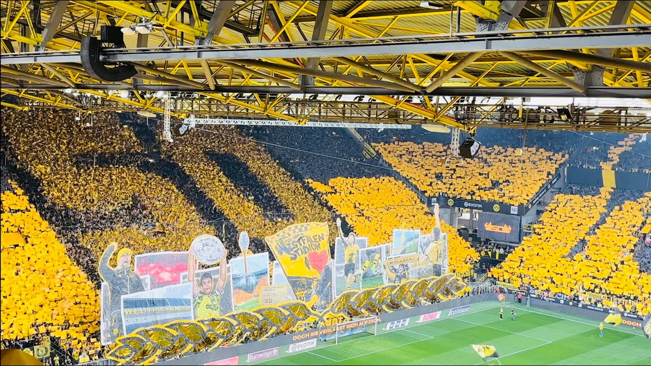 Spektakuläre Choreografie 50 Jahre Westfalenstadion #bvb #ultras #bundesliga