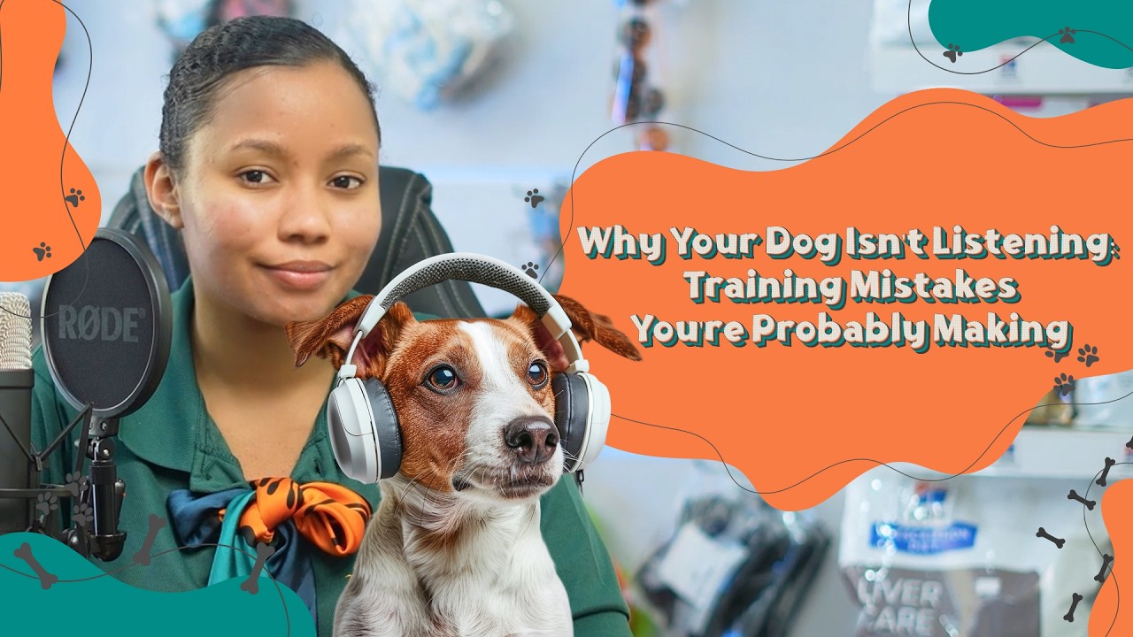 Why Your Dog Isn't Listening: Training Mistakes You're Probably Making
