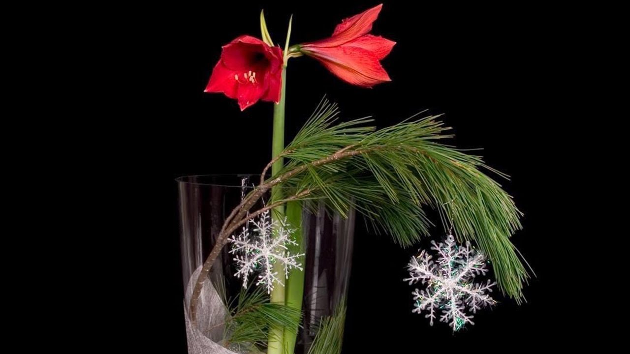 Flower School LIVE's Year-End Celebration