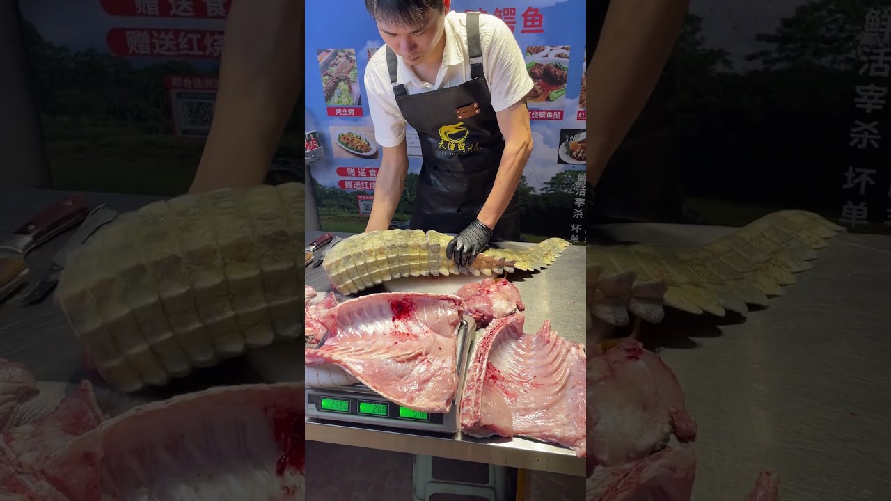 Crocodile Meat&mdash;Why is it so sought after? #crocodile  #crocodilemeat  #cuttingskills  #viralvideo