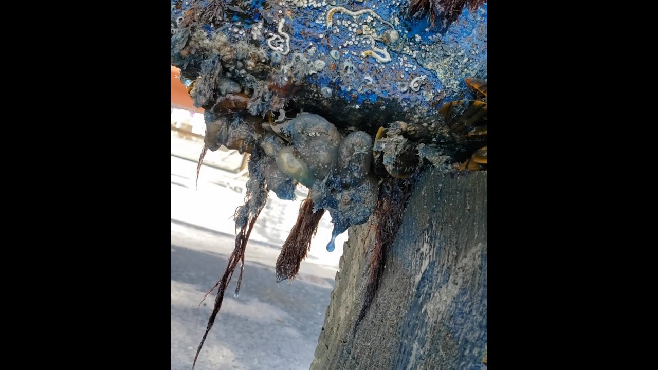 Chp 2 ~ On the Hard ~ Part 1 of 3 ~ The Unburdening