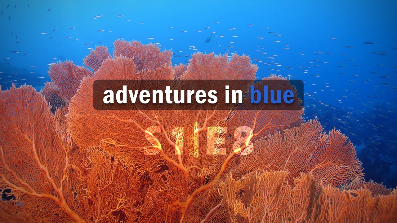 Liveaboard Diving | Similans Adventure