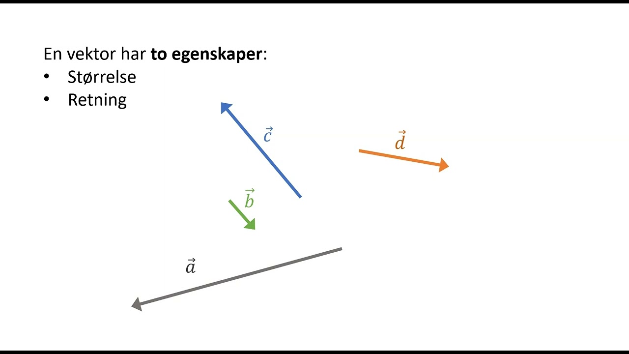 R1 - Hva er en vektor?