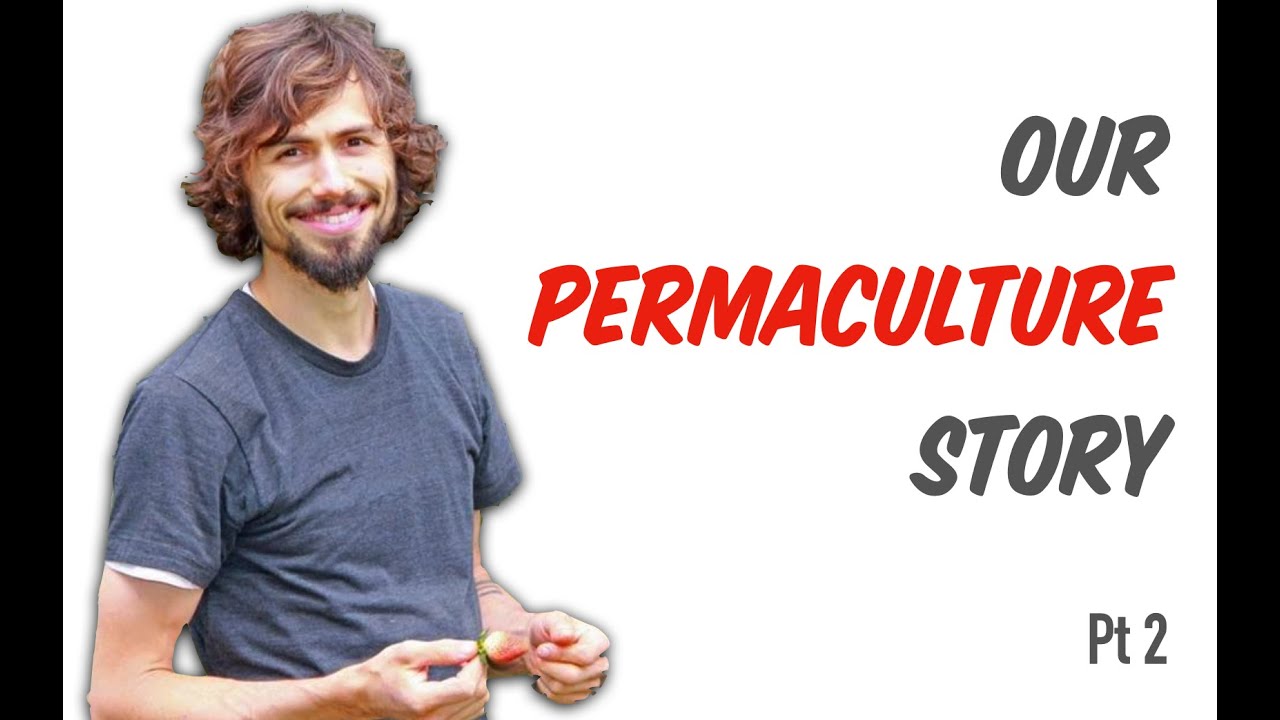 Our 1st Permaculture Garden & Food Forest pt 2 | The Permaculture Student Online