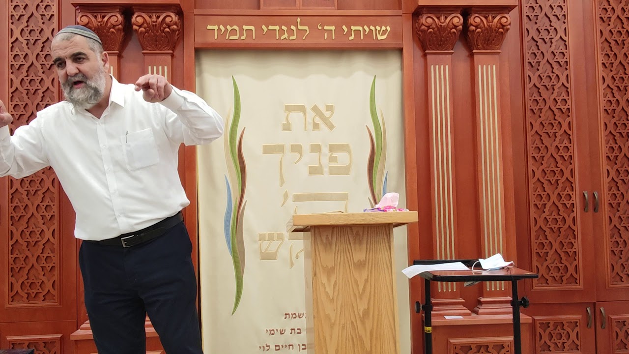 הרב אליהו שרביט - '' יתלבש אסתר מלכות ''