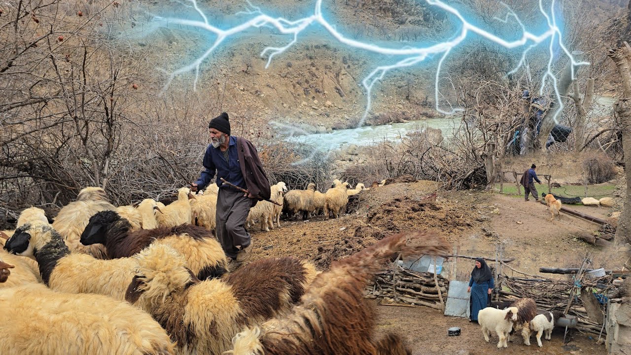 Ali and Homa in the Storm: A Hard Day of Nomadic Life in Torrential Rain for Their Survival  🌧️