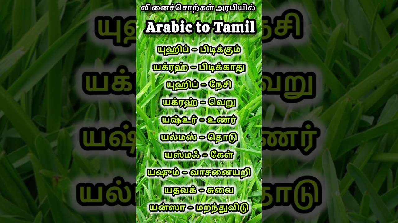 அரபியில் வினைச்சொற்கள் Verbs தெரிந்து கொள்ளலாம் | learn arabic words through tamil 