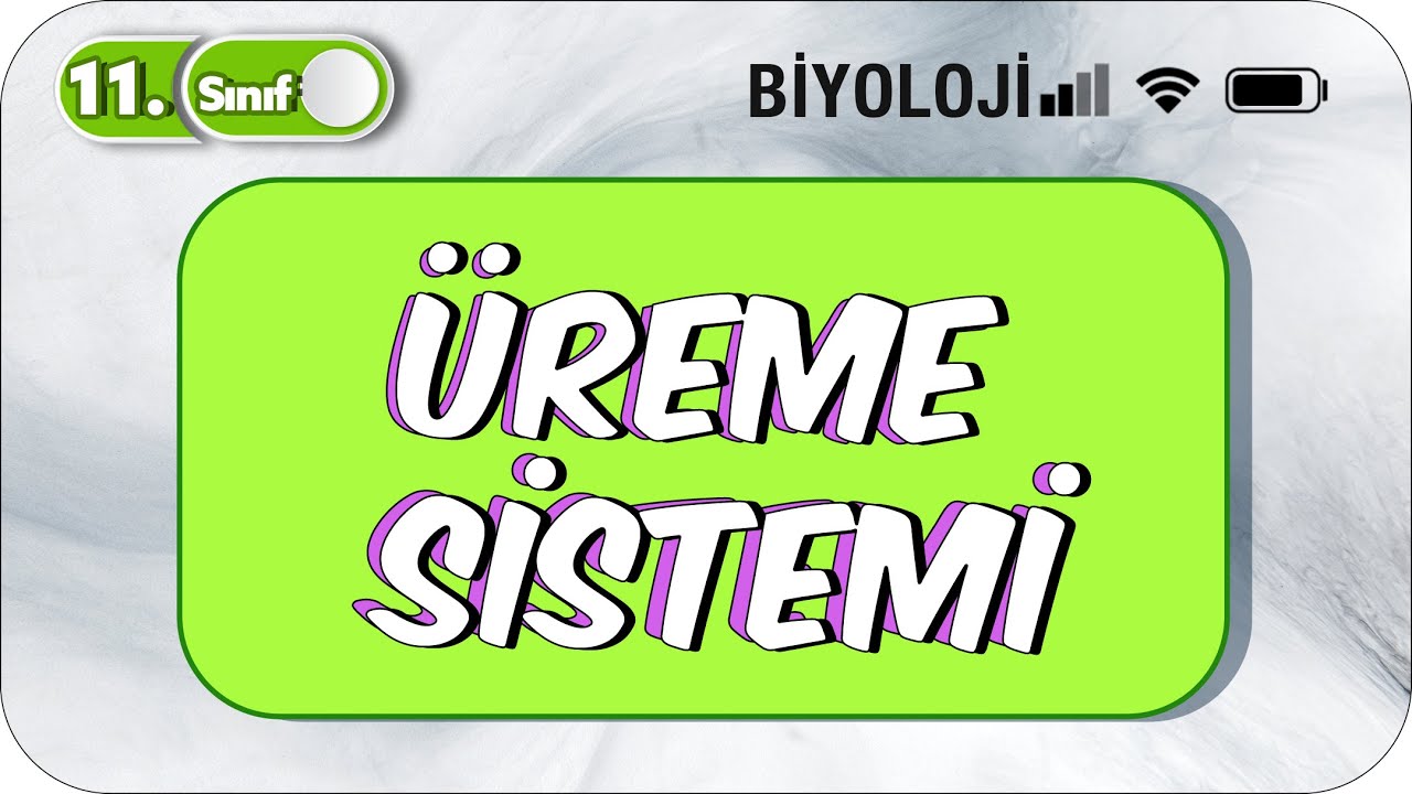 11. Sınıf Biyoloji Üreme Sistemi |TEK VİDEODA KONU ANLATIMI ✍️
