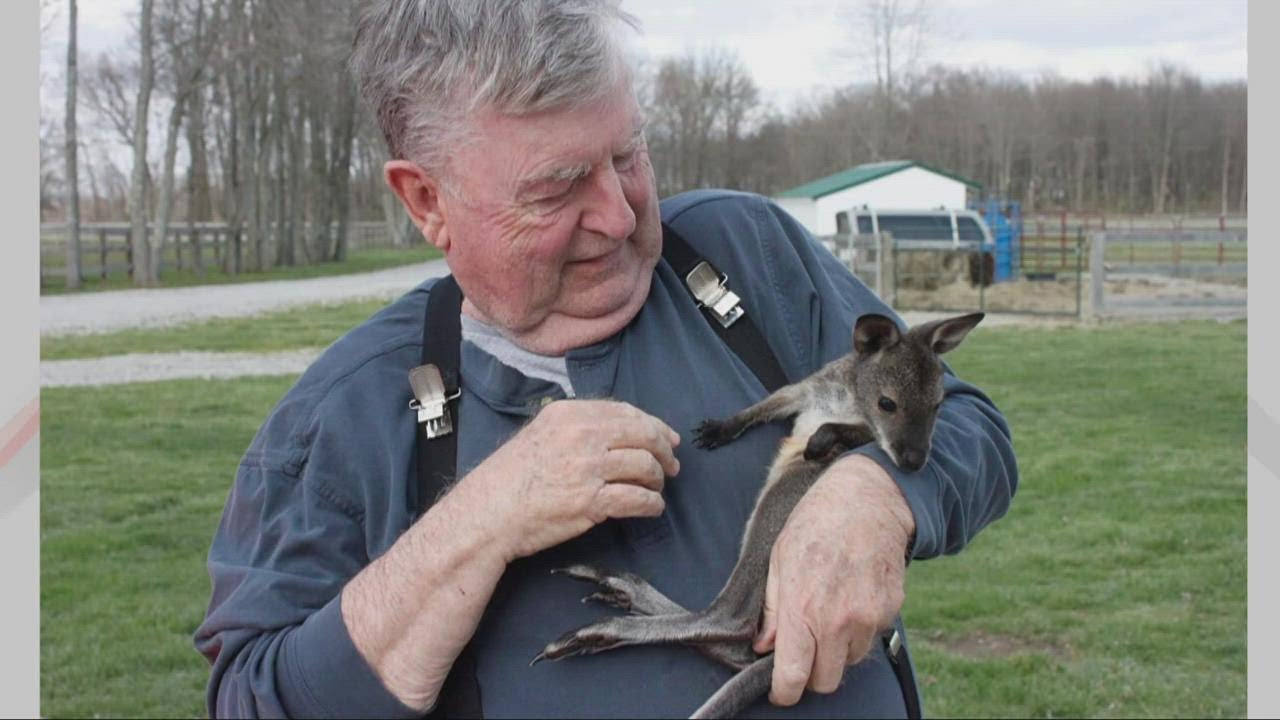 Wallaby breeder sheds light on Stark County marsupial menace