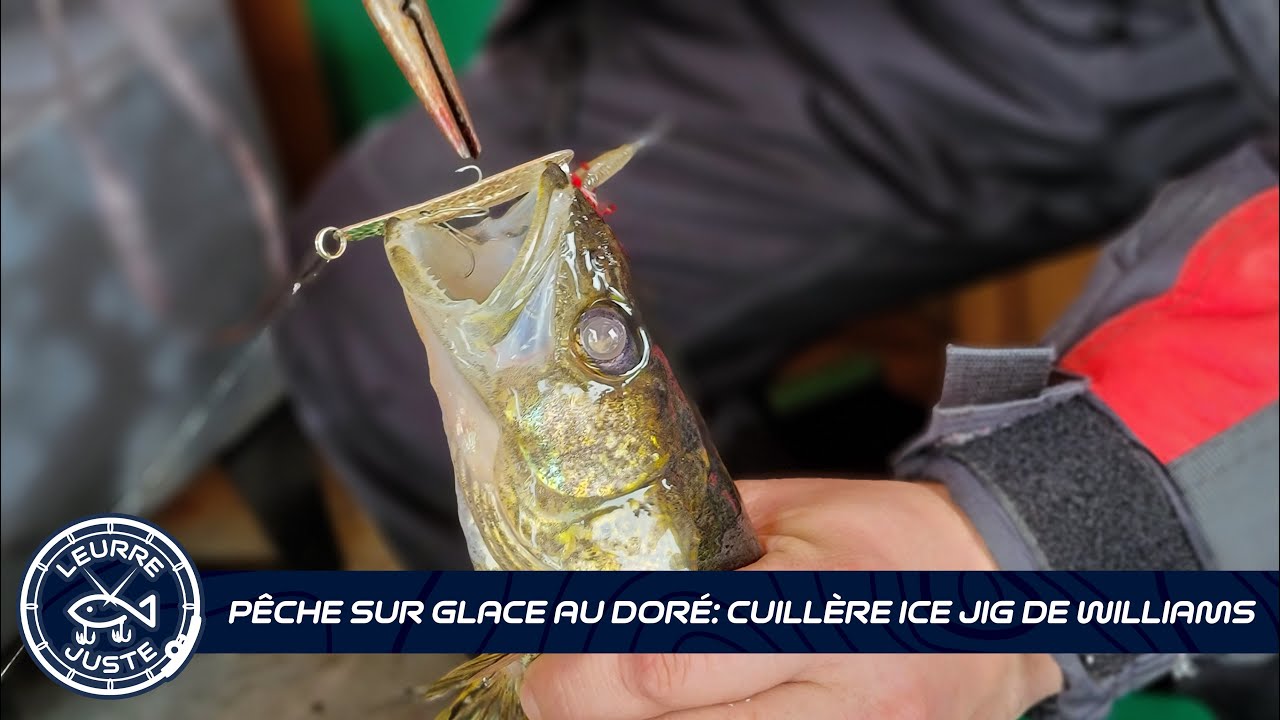 Capsule 101- Pêche sur glace au doré: Cuillère Ice Jig de Williams