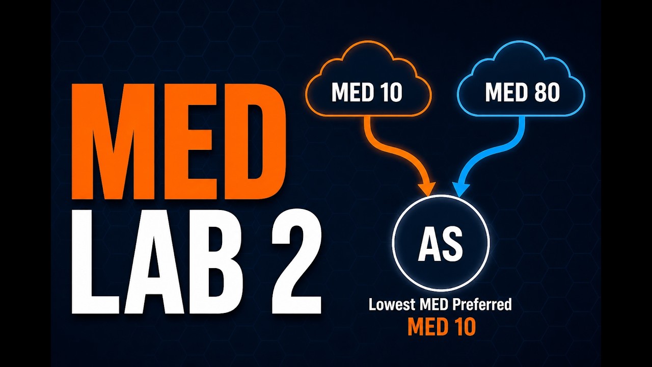 705 MED LAB Часть 2