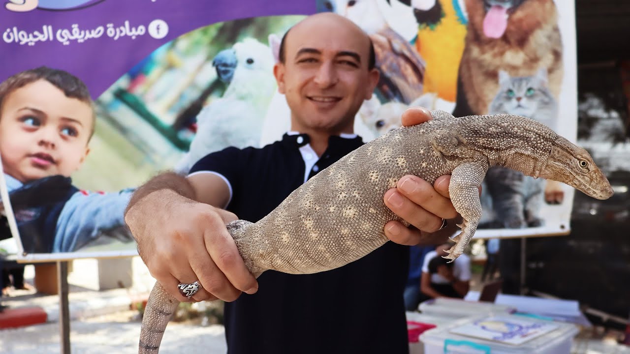 جولة في معرض الأفاعي و الزواحف و الطيور