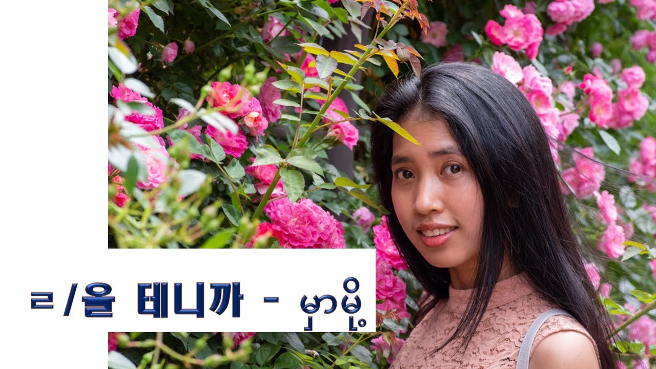 [blog.ayeayeaung.me] Korean Grammar 