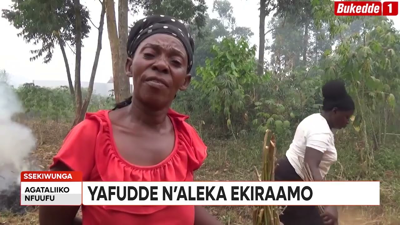Abadde om,ukubi wa pulaani nakinku mu Uganda Ssentoogo afudde!. Ono yeyakuba pulaani ya State House,