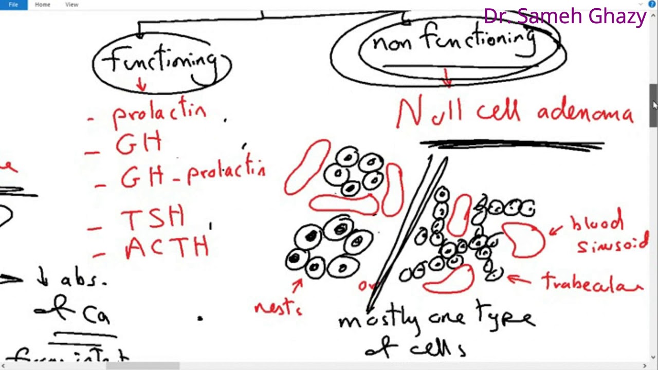 Systemic pathology 36 : endocrine 4 (tumors of pituitary gland & suprarenal medulla ) DR.SAMEH GHAZY
